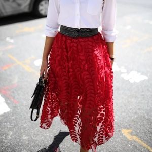 H&M Tulle Skirt with Embroidery